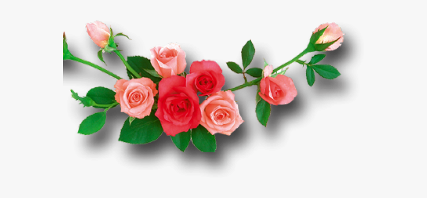 Red Rose Clipart Leaf Png - Flowers With White Background Hd, Transparent Png, Free Download