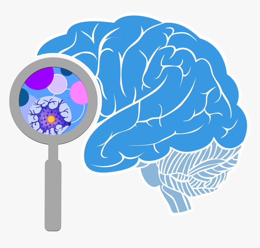 Transparent Brain Transparent Png - Png Transparent Brain Png, Png Download, Free Download