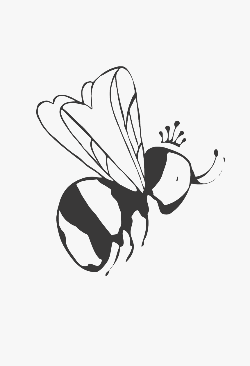 Bee Png - Membrane-winged Insect, Transparent Png, Free Download