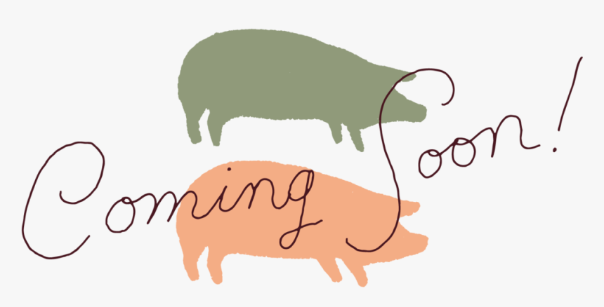 Tip Illos Events-01 - Domestic Pig, HD Png Download, Free Download