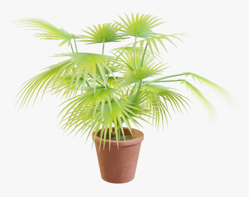 Flowerpot, HD Png Download, Free Download