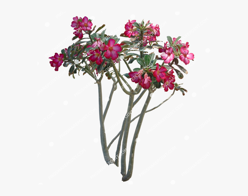 Bouquet, HD Png Download, Free Download