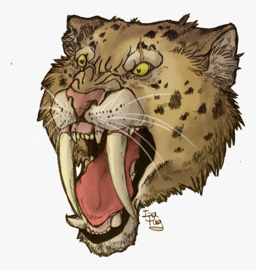 Transparent Saber Tooth Tiger Png, Png Download, Free Download