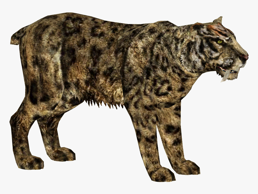 Transparent Saber Tooth Tiger Clipart - Sabertooth Cat Png, Png Download, Free Download