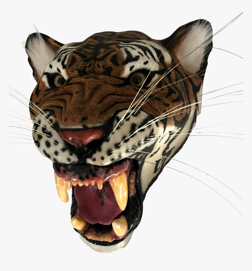 Bengal Tiger, HD Png Download, Free Download