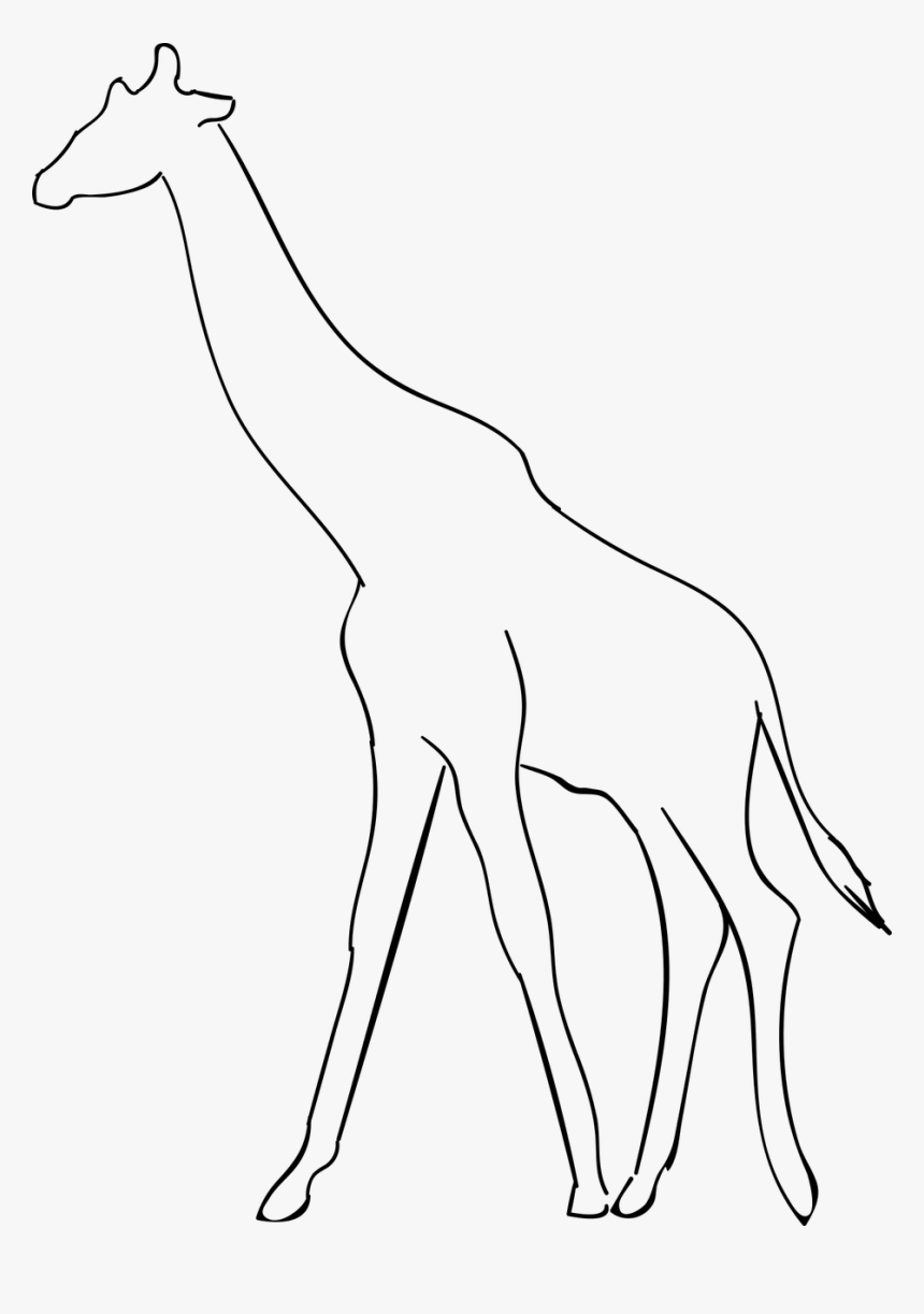Giraffe Silhouette Png -giraffe Animal The Silhouette - Siluetas Žirafa, Transparent Png, Free Download