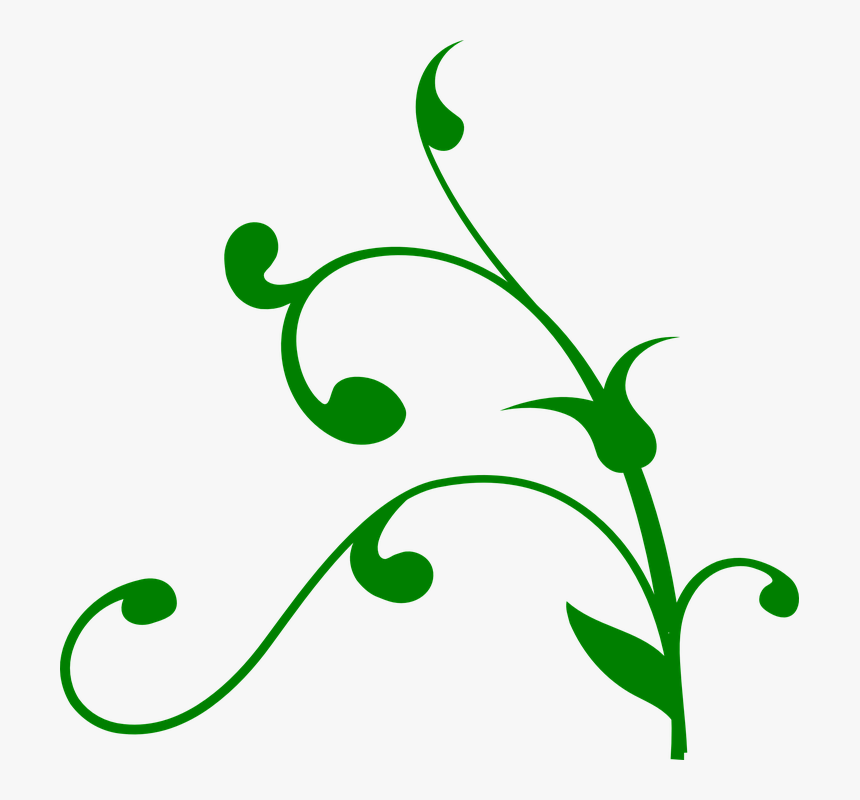 Vine, Swirl, Green, Nature, Floral, Design, Pattern - Flower Stems Clip Art, HD Png Download, Free Download