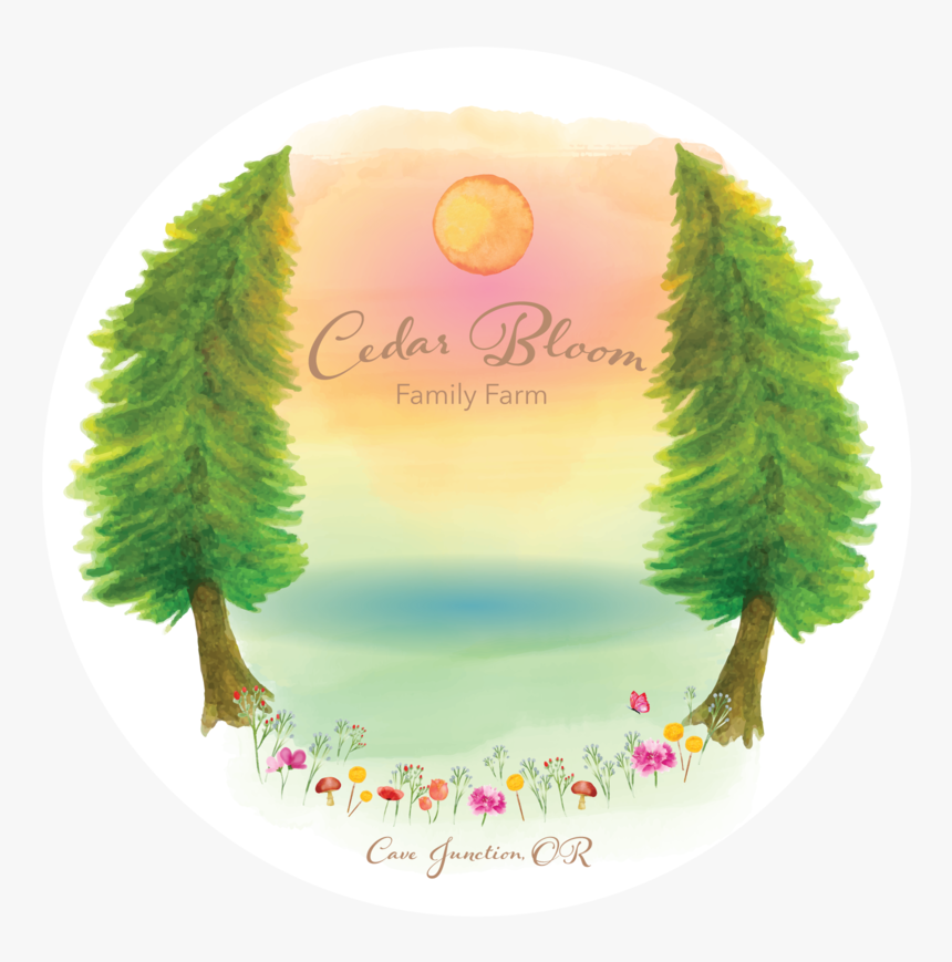 Cedar Bloom Logo Transparent Background 2 - Cedar Bloom Camp, HD Png Download, Free Download