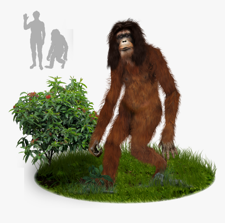 Orang Pendek, HD Png Download, Free Download