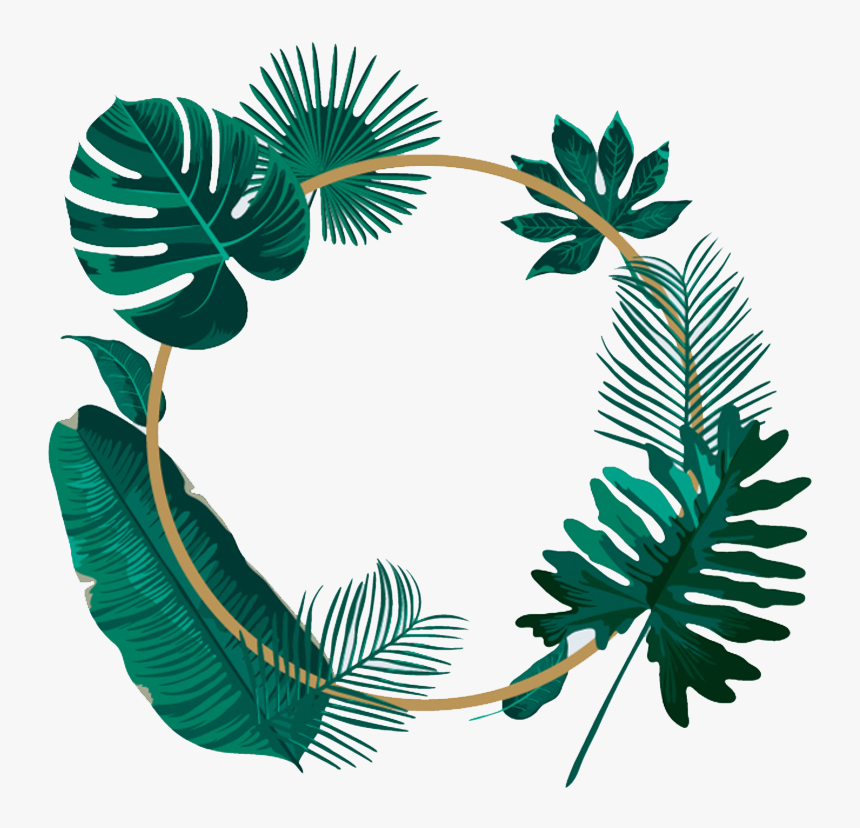 #background #tropicalleaves #tropical #circle #green - Watercolor Wreath Transparent Background, HD Png Download, Free Download