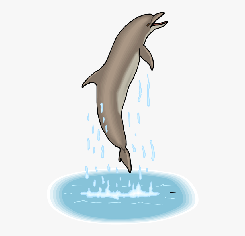 Transparent Background Jumping Dolphins Gif, HD Png Download, Free Download