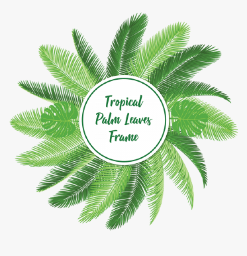 Free Png Download Palm Leaf Vector Png Images Background - Vector Palm Leaves Png, Transparent Png, Free Download