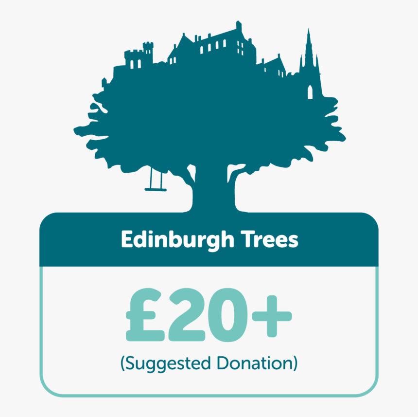 Edinburgh Trees £20 - Tree Time, HD Png Download, Free Download