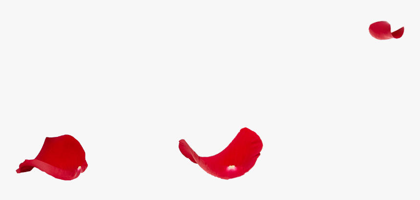 Clip Art, HD Png Download, Free Download