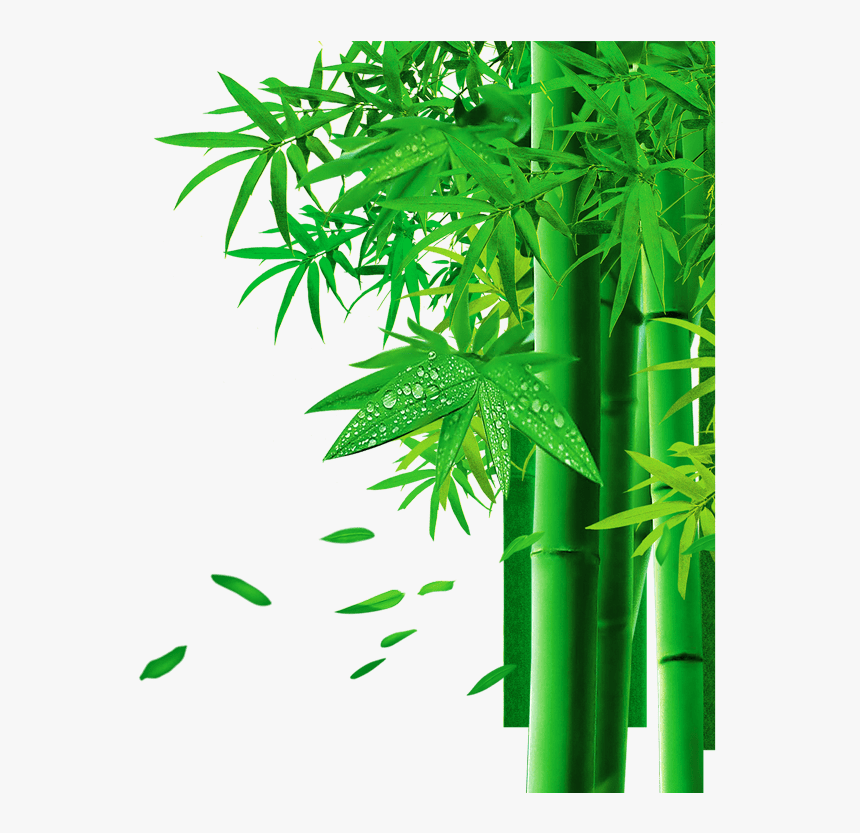 Transparent Bamboo Vector Png - Transparent Background Bamboo Leaf Png, Png Download, Free Download