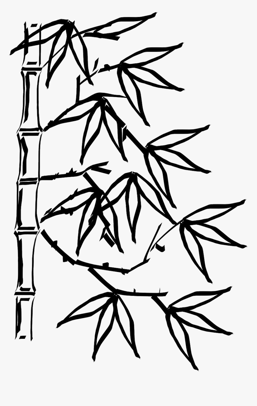 Bamboo Plant Leaves Free Photo - Bamboo Clipart Black And White, HD Png Download, Free Download