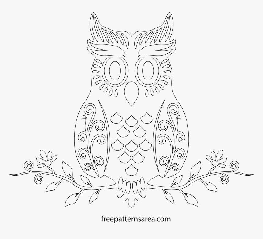 Outline Owl Drawing Template, HD Png Download, Free Download