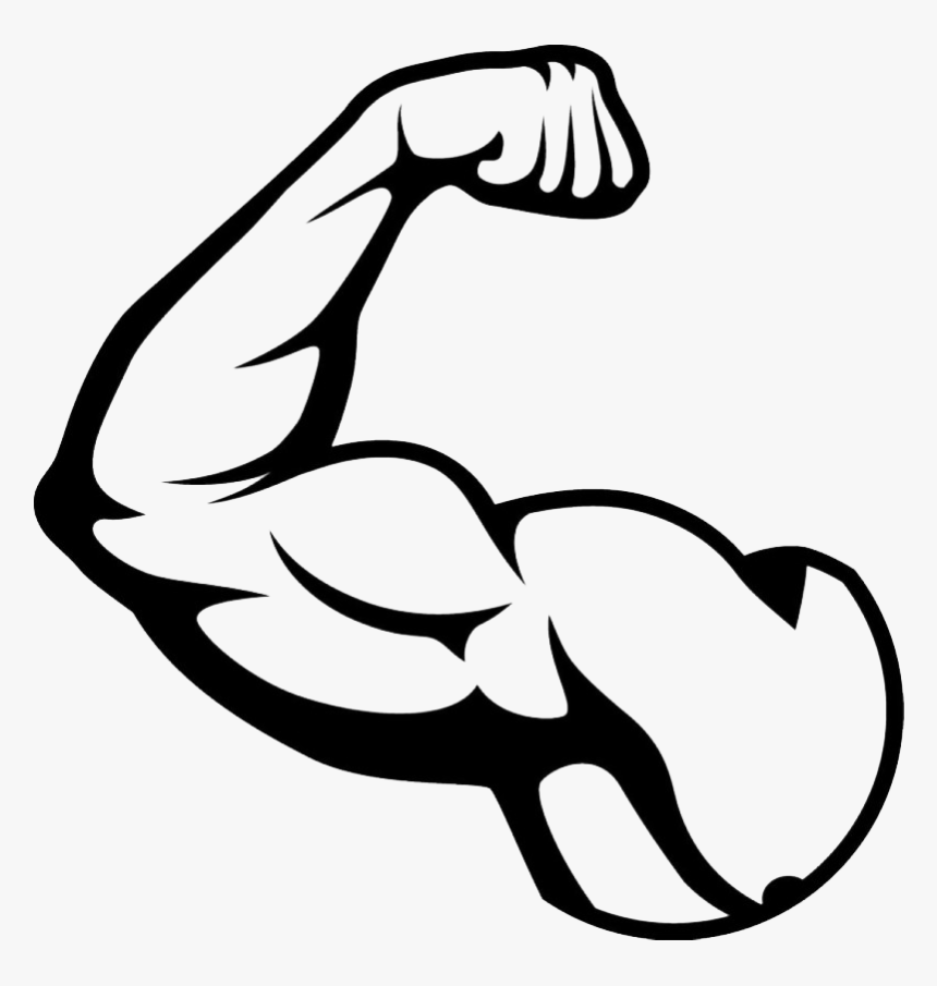 Muscle Png, Transparent Png, Free Download