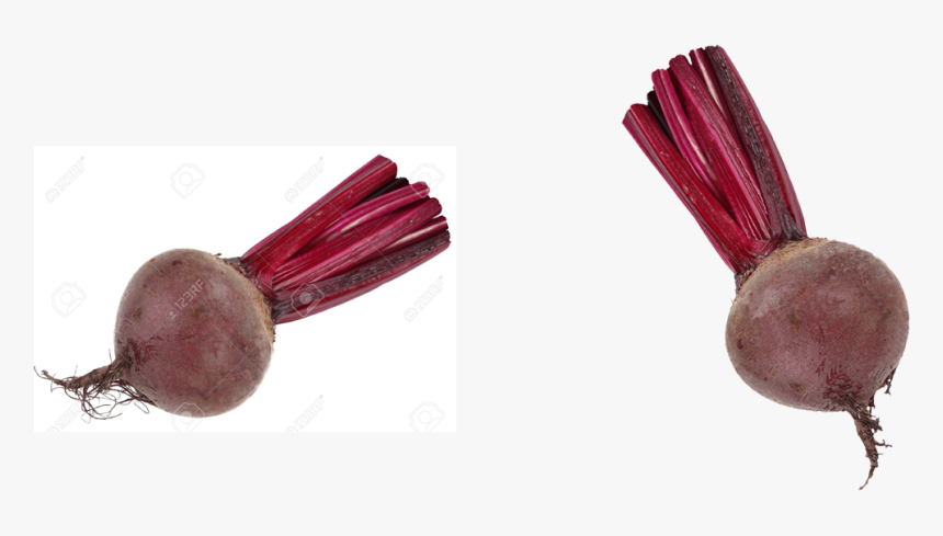 Beet, HD Png Download, Free Download