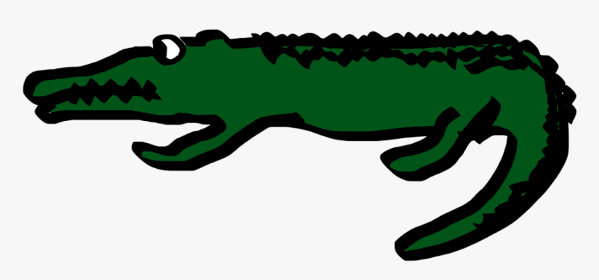 Crocodile, Alligator, Cartoon, Biscayne National Park - Crocodiles, HD Png Download, Free Download