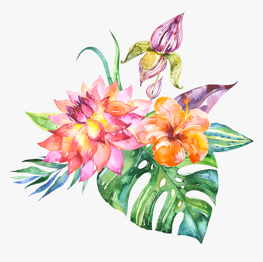 Fleurs Flores Flowers Bloemen - Tropical Flowers Transparent Background, HD Png Download, Free Download