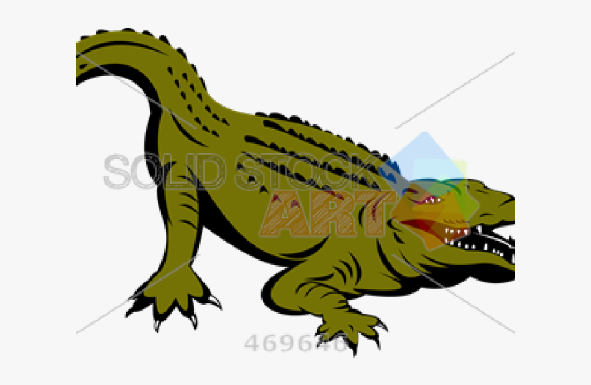 Cartoon Alligator Images - Drawing, HD Png Download, Free Download