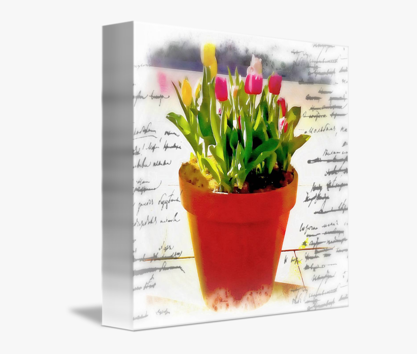 Watercolor Pot Of Tulips By Elizabeth Mix - Flowerpot, HD Png Download, Free Download