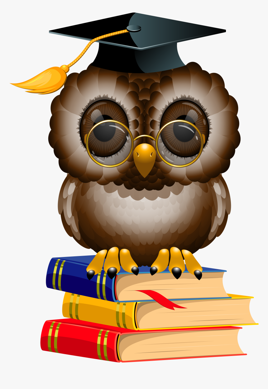 Owl With School Books, HD Png Download, Free Download