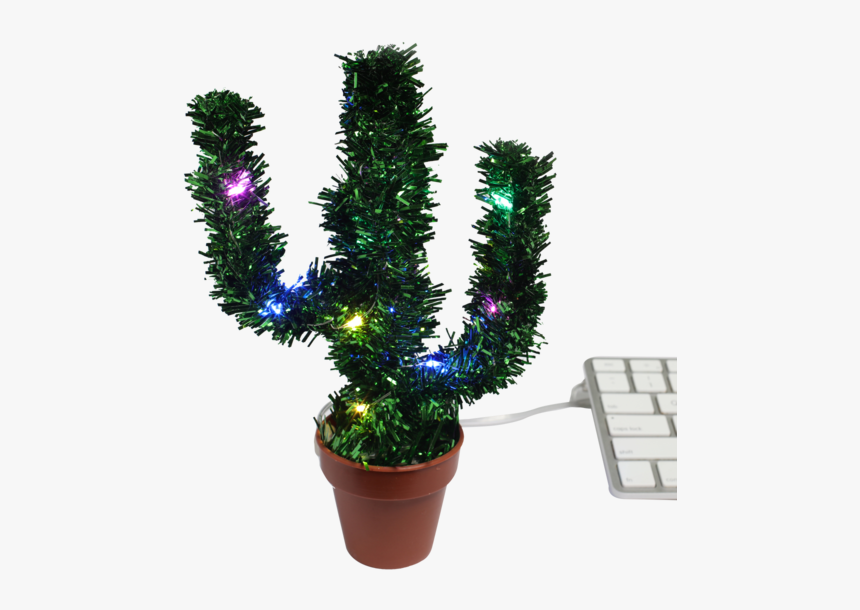 Merry Christmas Cactus With Glowing Led - Flowerpot, HD Png Download, Free Download