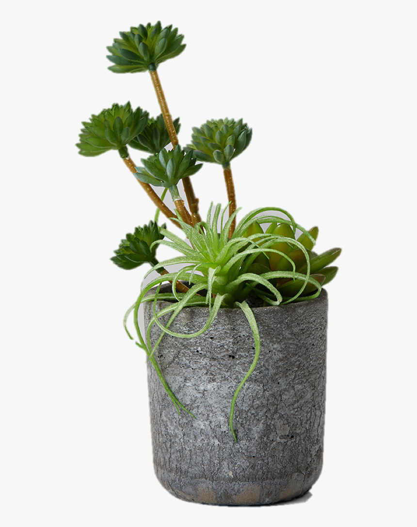 Desk Plant Png - Artificial Succulents, Transparent Png, Free Download