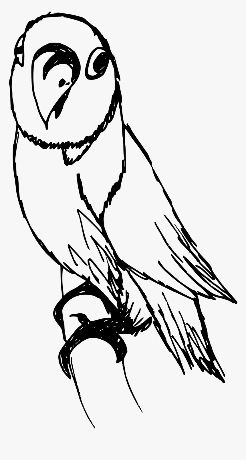 Bird Drawing Png - Owl, Transparent Png, Free Download