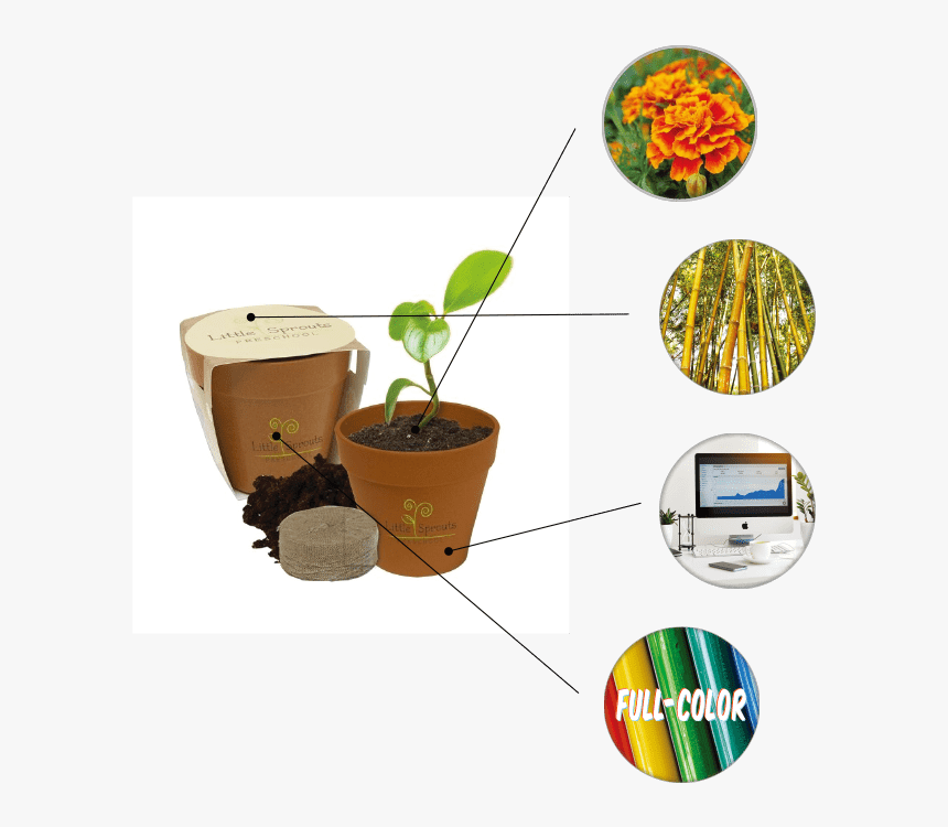 "
 Class="top100 Items M - Pot A Plant Kit, HD Png Download, Free Download