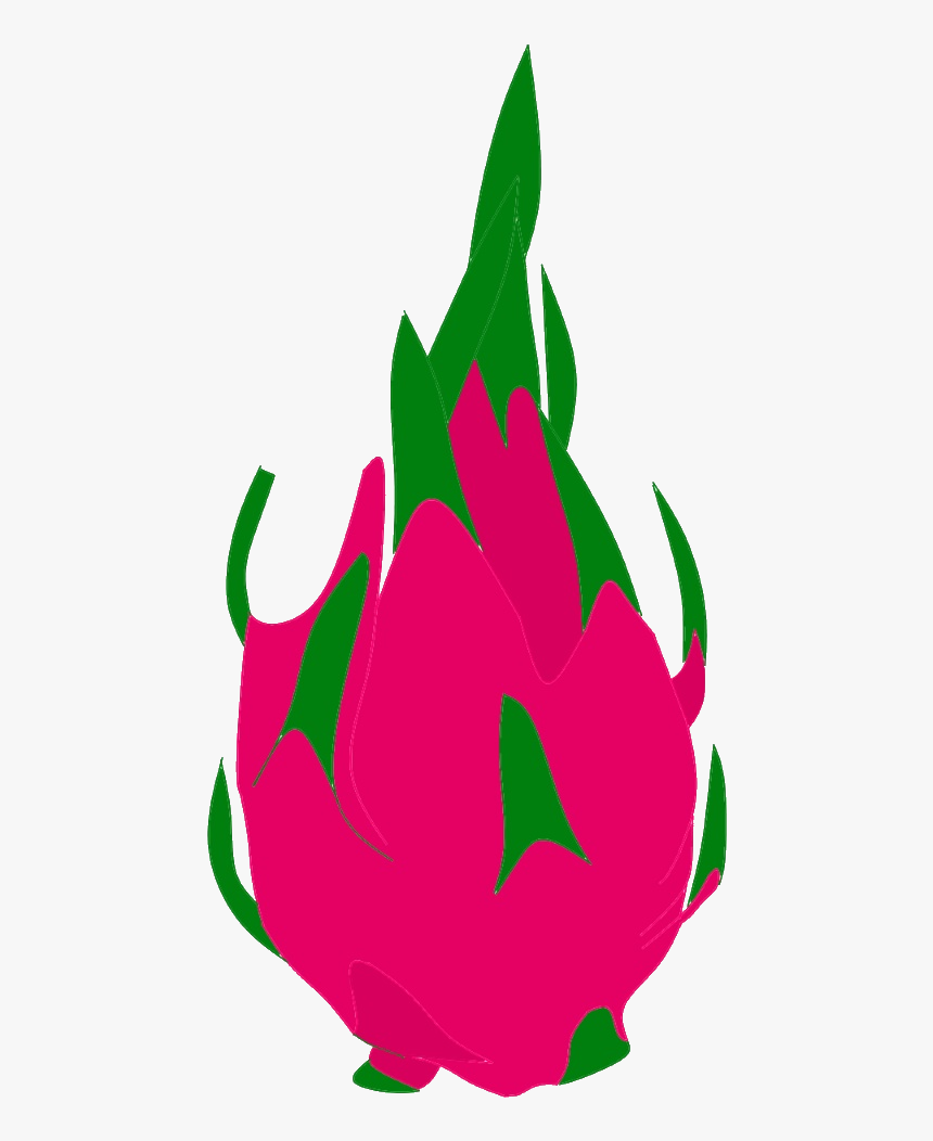 Transparent Dragon Fruit Clipart - Dragon Fruit Clipart Png, Png Download, Free Download