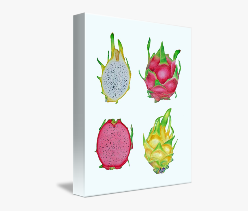 Dragon Fruit Art, HD Png Download, Free Download