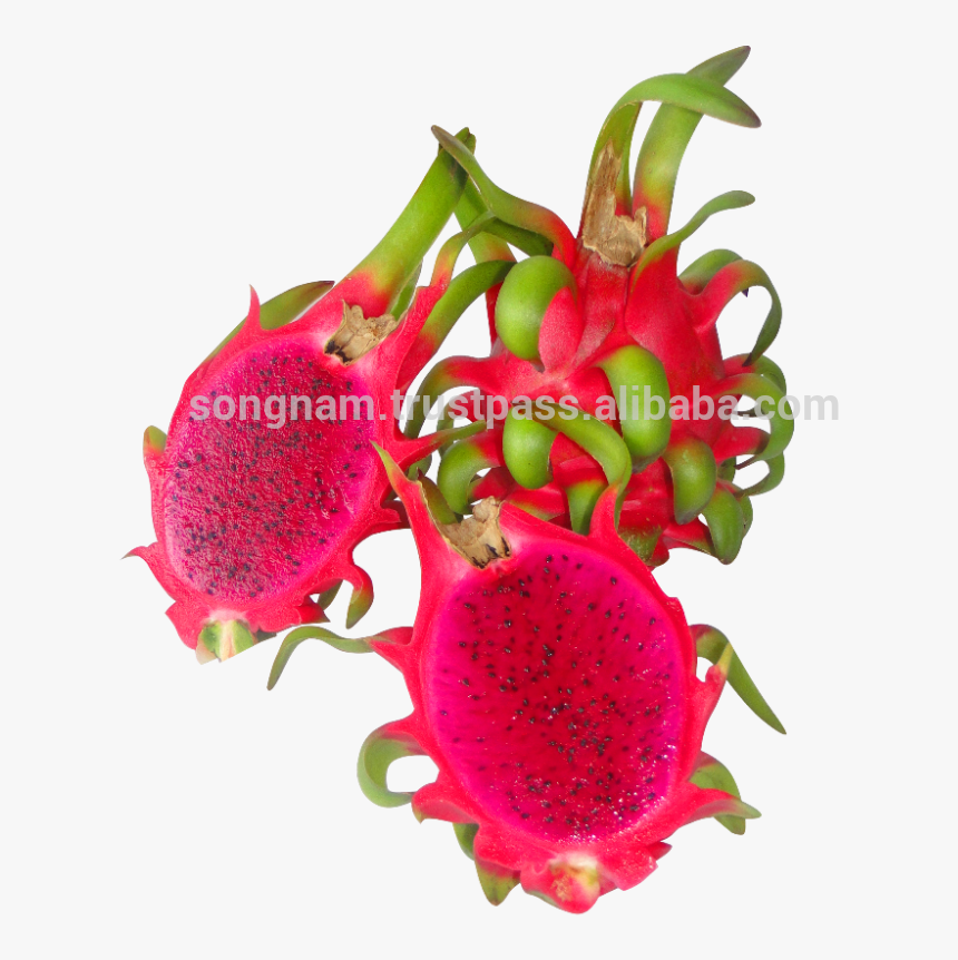 Song Nam Red Flesh Dragon Fruit From Vietnam - Pitaya, HD Png Download, Free Download