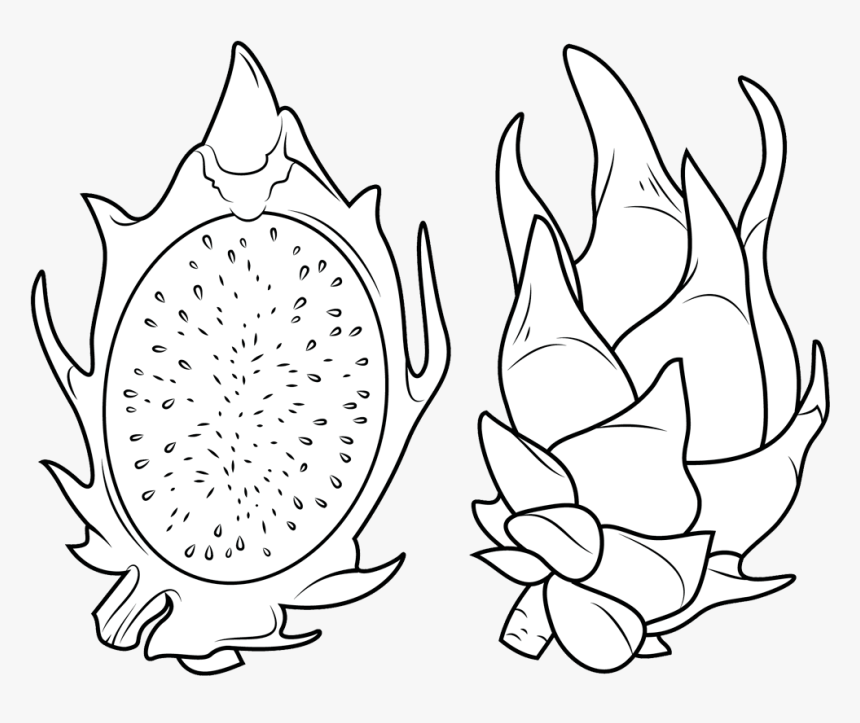 Dragon Fruit Clipart Dragon Fruit Coloring Pages - Illustration, HD Png Download, Free Download