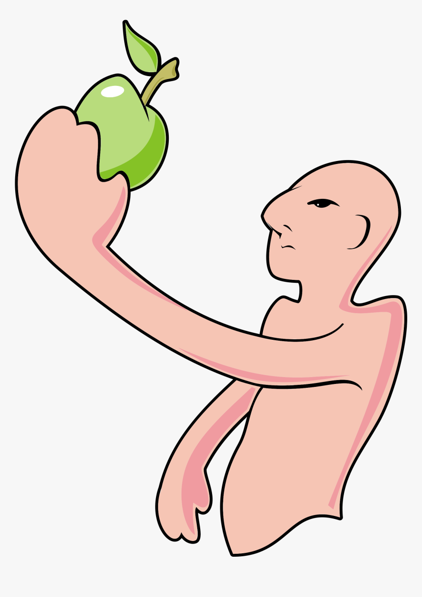 Bald Man And The Apple Clip Arts - Man, HD Png Download, Free Download