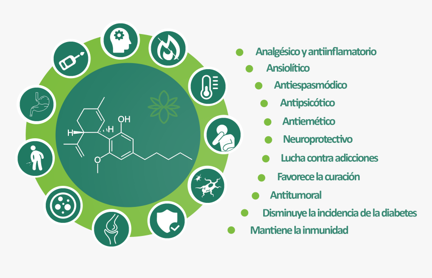 Beneficios Del Aceite De Cbd, HD Png Download, Free Download