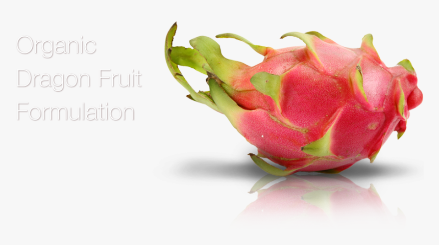 Organic Dragon Fruit Formulation - Pitaya, HD Png Download, Free Download