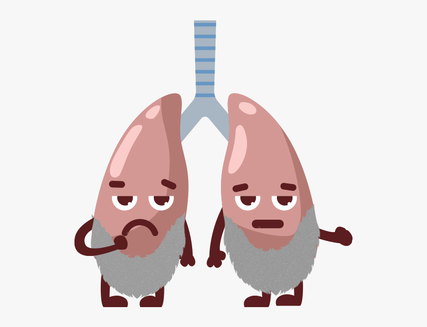 Animated Lung Png - Aging Lung, Transparent Png, Free Download