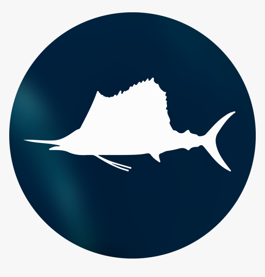 Sailfish-circle - Sailfish, HD Png Download, Free Download