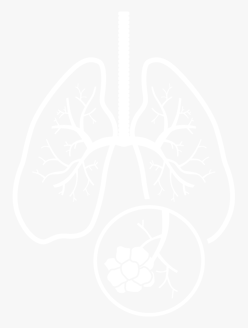 Lung, HD Png Download, Free Download