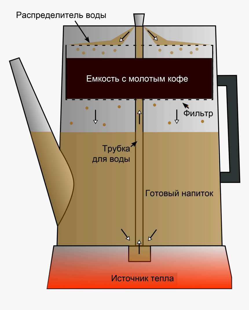 Coffee Percolator Cutaway Diagram - Percolation Coffee, HD Png Download, Free Download