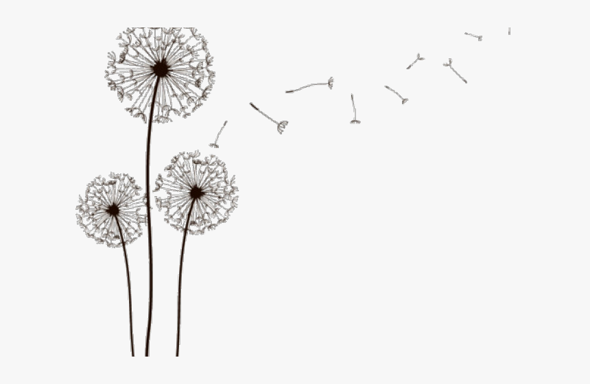 Dandelion Clipart Pinterest - Clip Art Dandy Lion, HD Png Download, Free Download