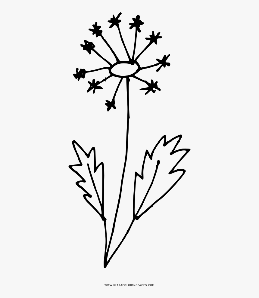 Nice Dandelion Coloring Pages Page Ultra - Line Art, HD Png Download, Free Download