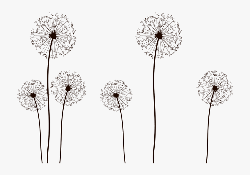 Dandelion Clipart Large - Vector Dandelion Png, Transparent Png, Free Download