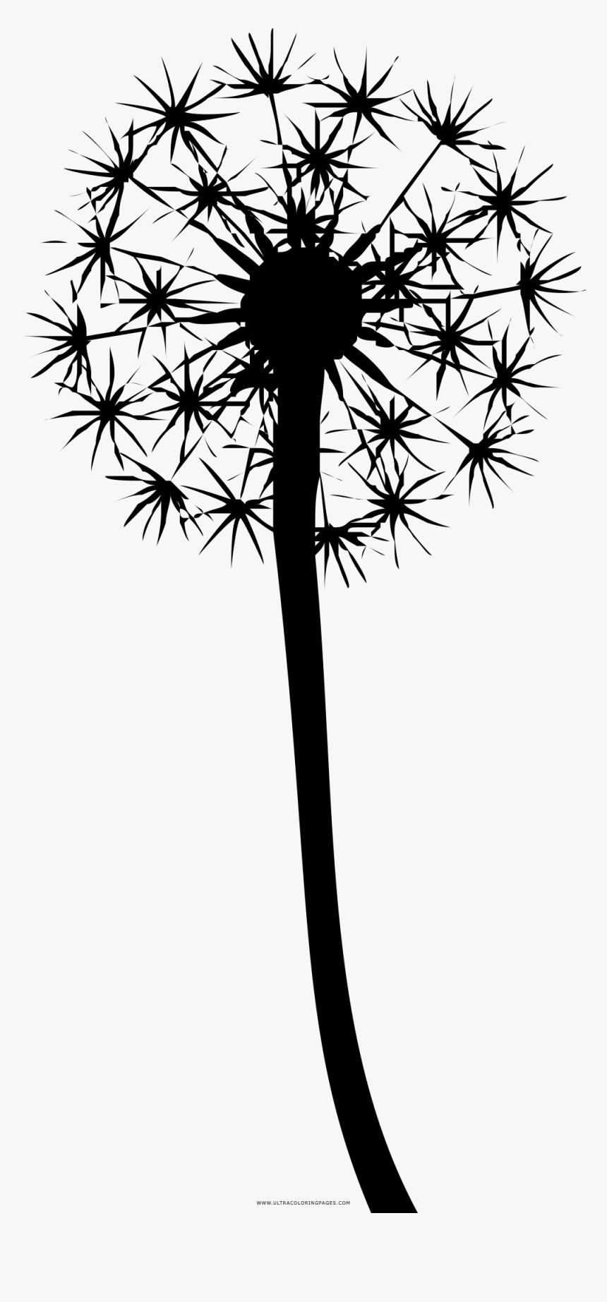 Dandelion Coloring Page - Dandelion Colouring Pages, HD Png Download, Free Download