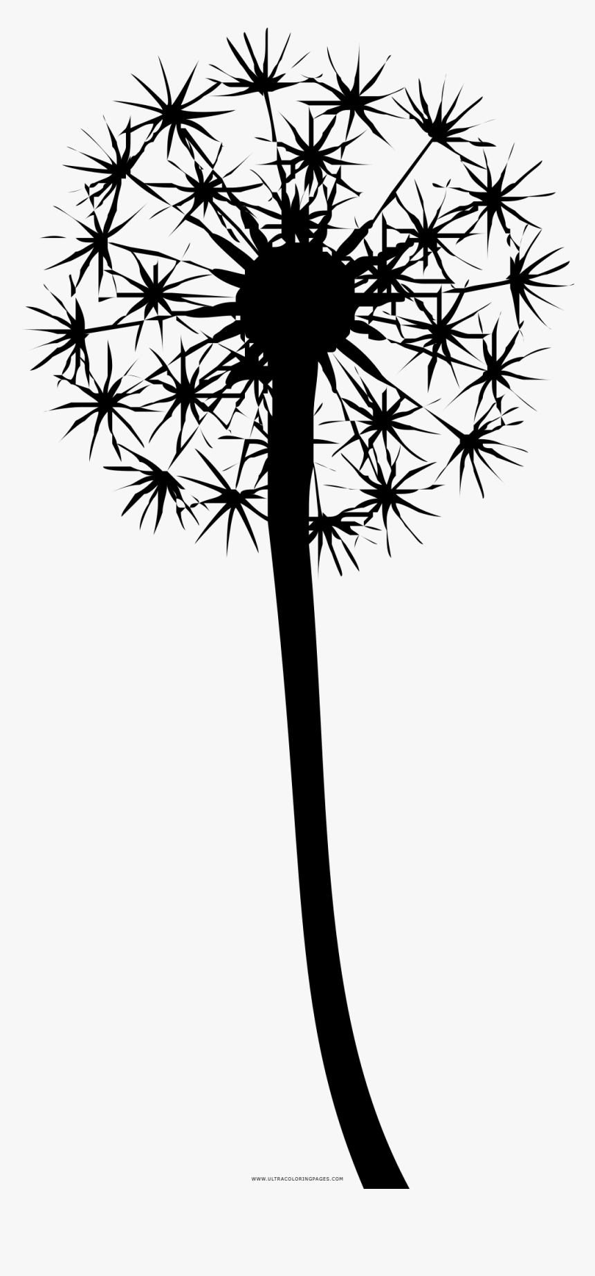Dandelion Coloring Page Dandelion Colouring Pages HD Png Download