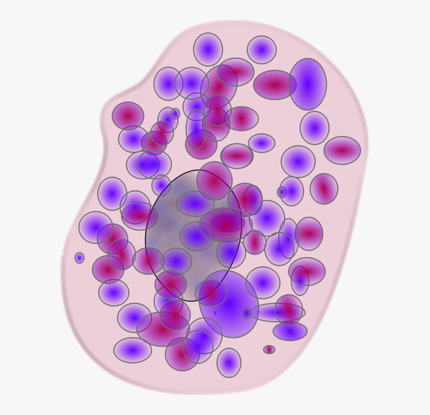 Transparent Human Cell Png - Mastocito O Celula Cebada, Png Download, Free Download