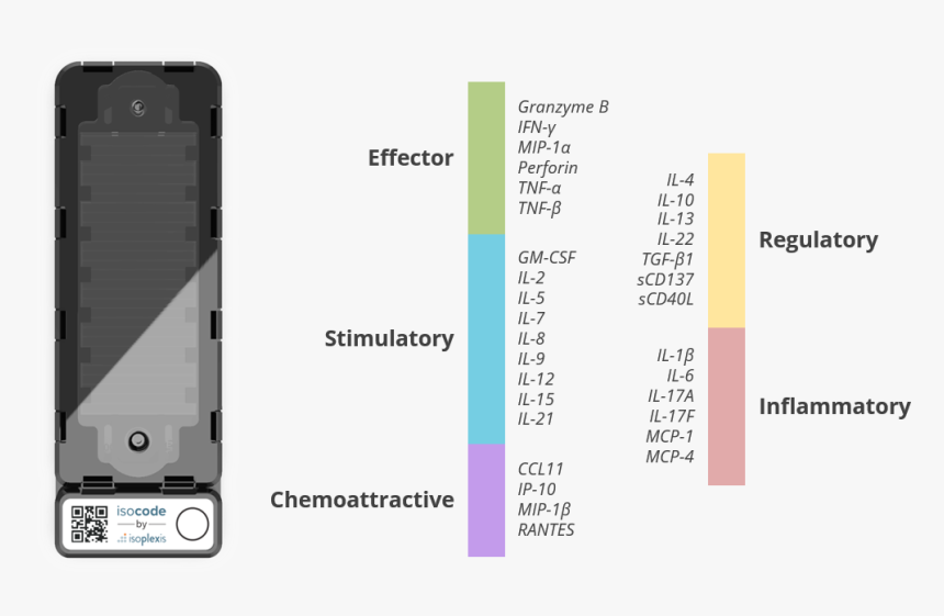 Iphone, HD Png Download, Free Download